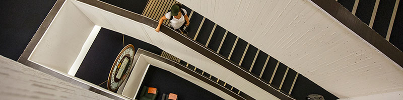 Milner Library stairs