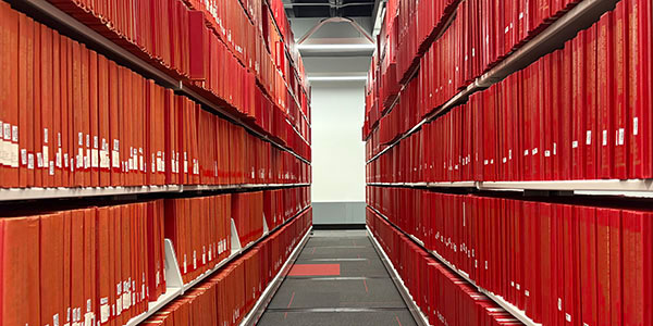 photo of the stacks in Milner Library