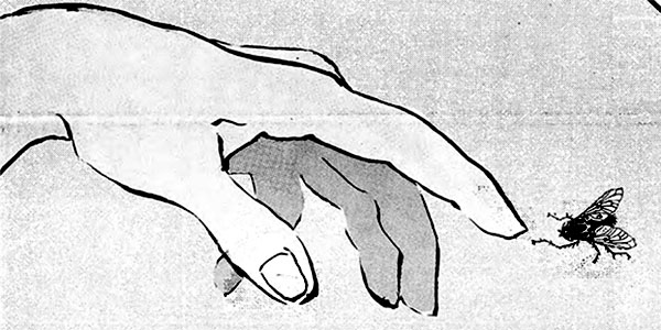 Illustration of a hand pointing at a fly.