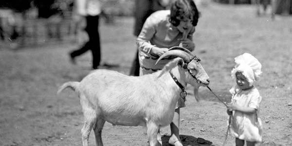 A child with a goat in the backyard.