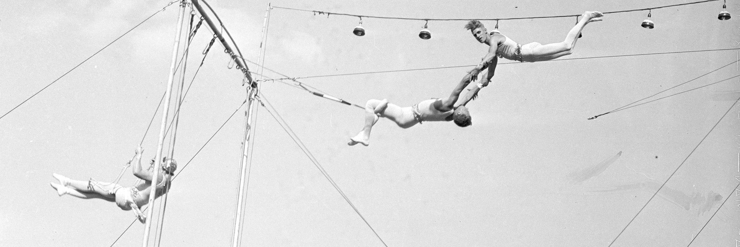 trapeze artists swinging and catching each other