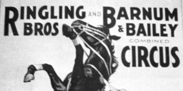 Ringling Barnum 1934 Dorothy Herbert on rearing horse litho.
