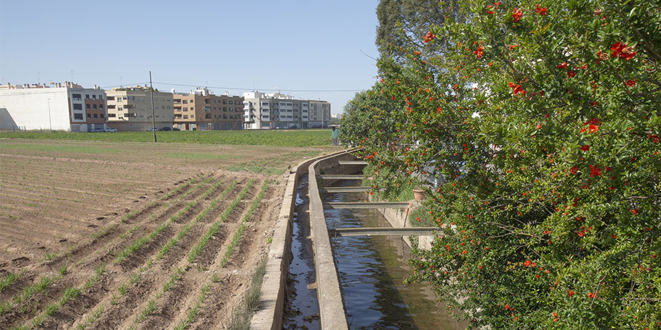Photo of an irrigation canal in Valencia, Spain