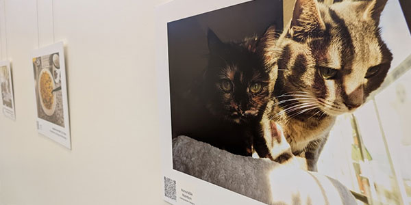 Photos of the winning entries